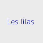 Agence immobiliere les lilas